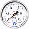 Манометр под гидрозаполнение ТМ-320Т.00 осевой Дк63мм 0-2,5 МПа кл.1,5 G1/4" Росма 00000027444