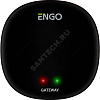 Интернет шлюз универсальный Zigbee 2,4ГГц ENGO EGATEZB