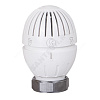 Элемент термостатический R470H жид/нап гайка М30х1,5 8-32oC Giacomini R470HX001