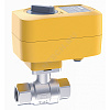 Кран шаровой нерж PROFI Ду 32 1 1/4" Ру40 ВР с эл/прив 220В Neptun 2205801